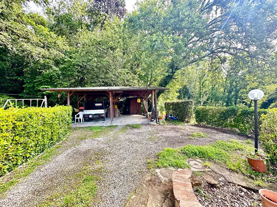 Immagine 33 di Rustico / casale in vendita  a Capannori