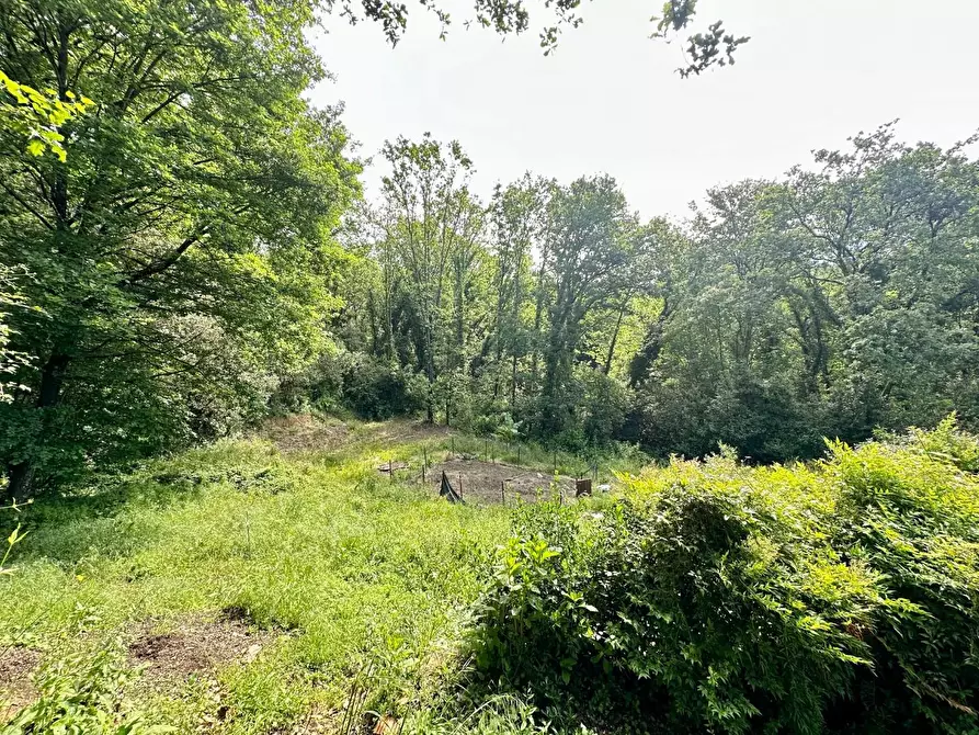 Immagine 28 di Rustico / casale in vendita  a Capannori