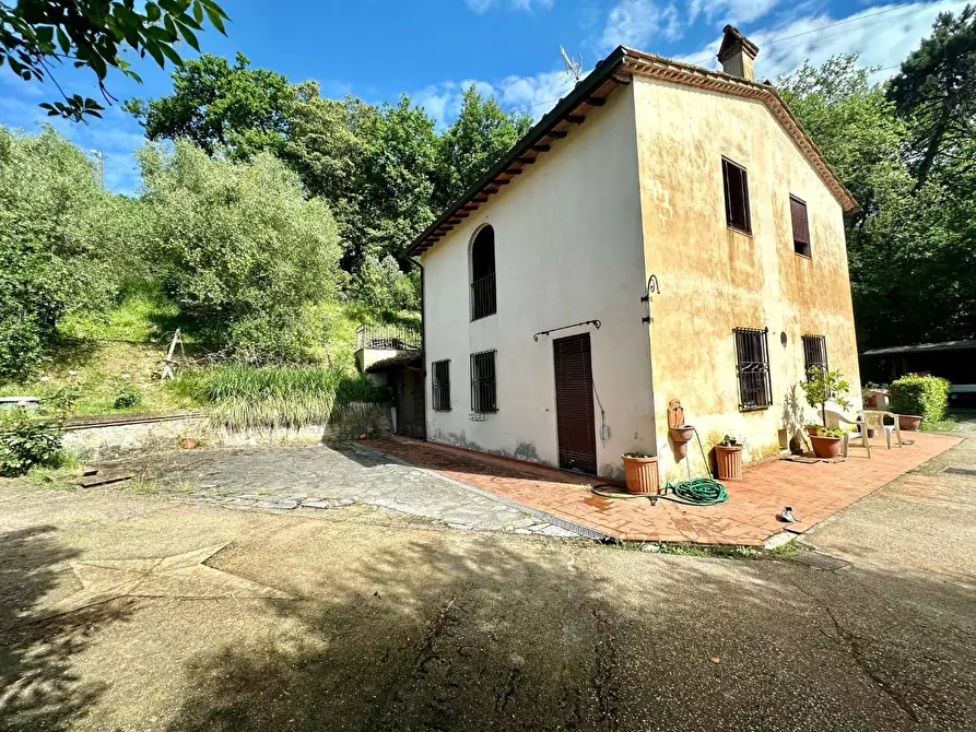 Immagine 2 di Rustico / casale in vendita  a Capannori