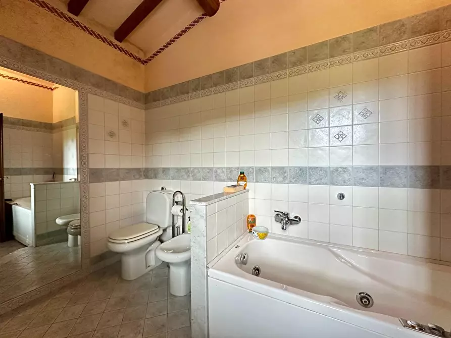 Immagine 23 di Rustico / casale in vendita  a Capannori