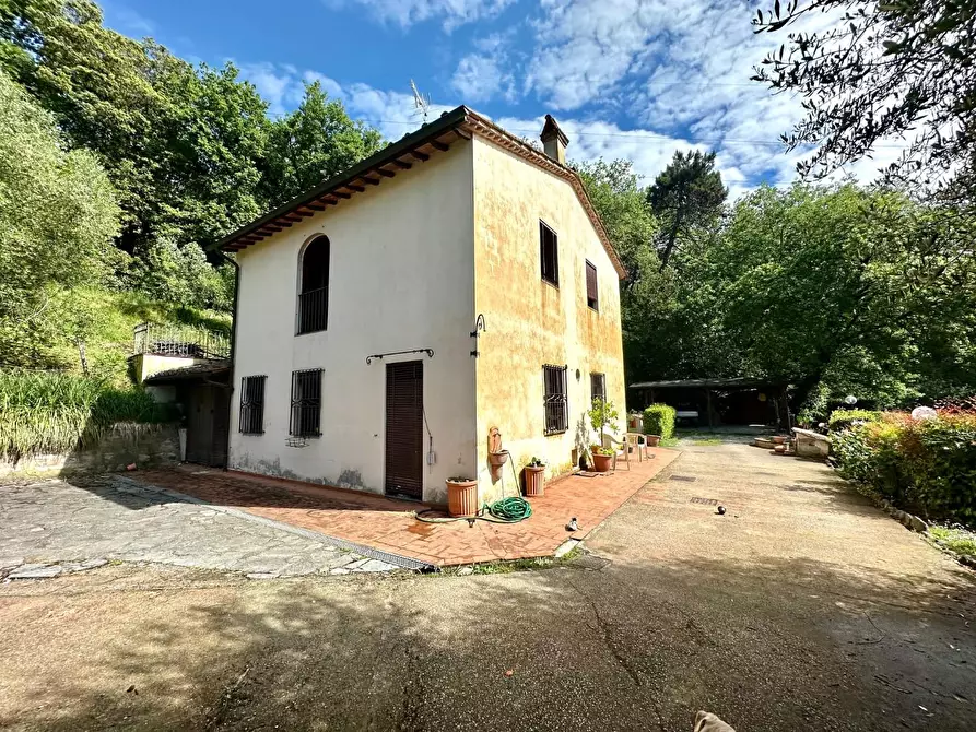 Immagine 29 di Rustico / casale in vendita  a Capannori