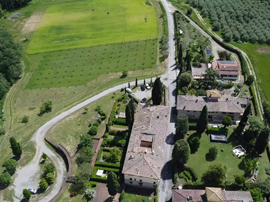 Immagine 10 di Azienda agricola in vendita  a Castelnuovo Berardenga