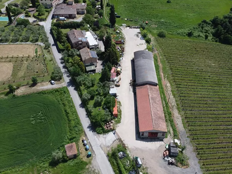 Immagine 1 di Azienda agricola in vendita  a Castelnuovo Berardenga