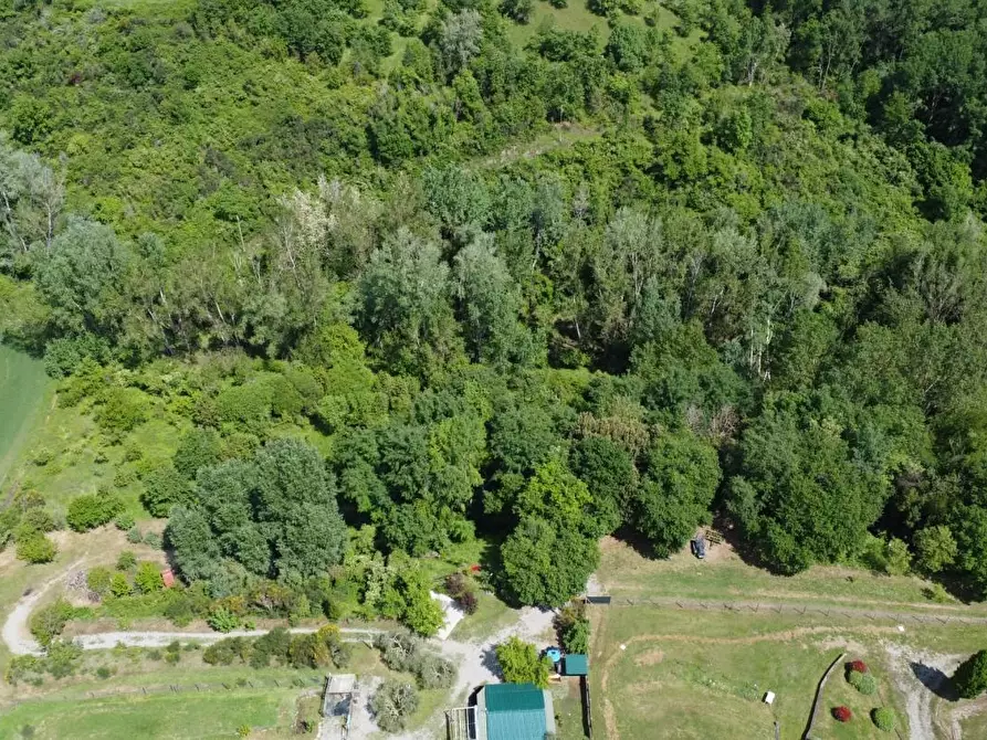 Immagine 8 di Azienda agricola in vendita  a Castelnuovo Berardenga