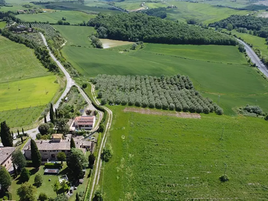 Immagine 4 di Azienda agricola in vendita  a Castelnuovo Berardenga