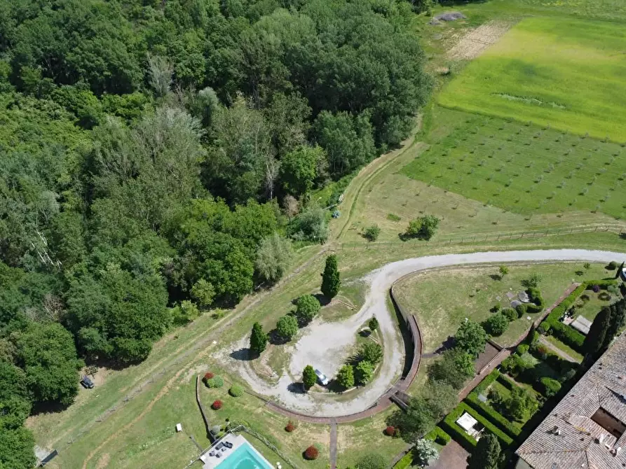 Immagine 9 di Azienda agricola in vendita  a Castelnuovo Berardenga