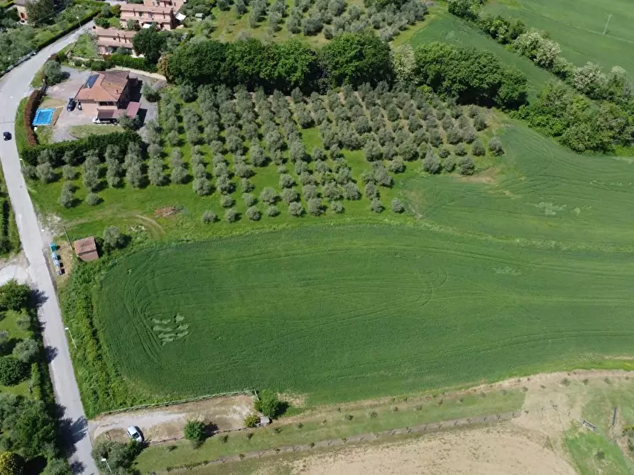 Immagine 7 di Azienda agricola in vendita  a Castelnuovo Berardenga