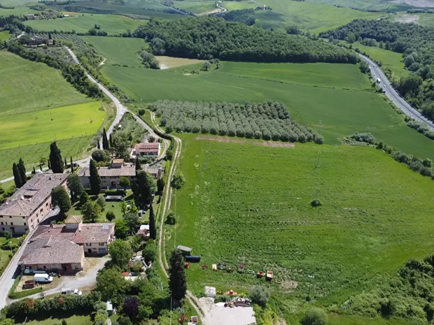 Immagine 3 di Azienda agricola in vendita  a Castelnuovo Berardenga