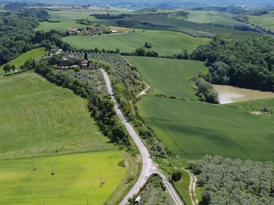 Immagine 5 di Azienda agricola in vendita  a Castelnuovo Berardenga
