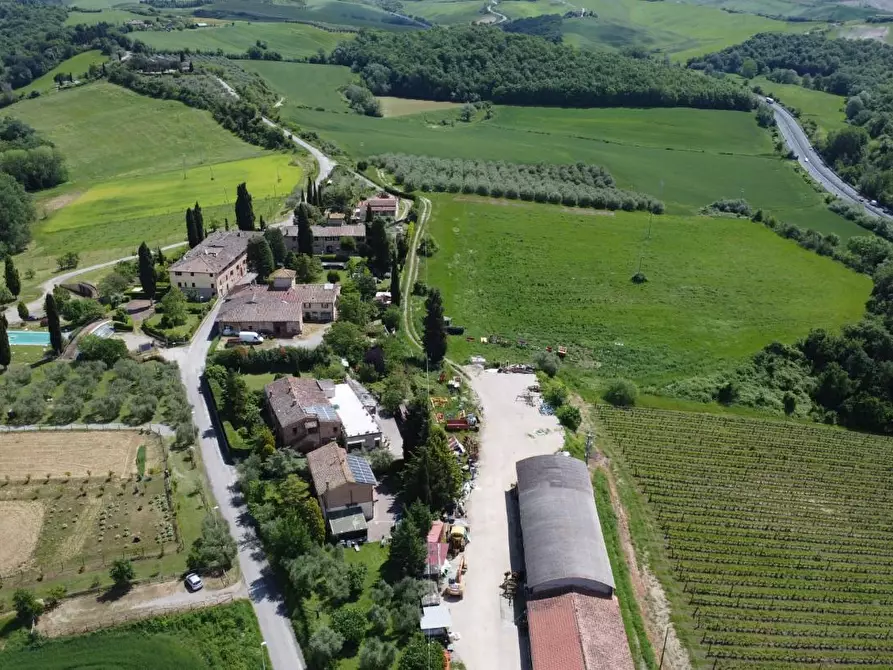 Immagine 2 di Azienda agricola in vendita  a Castelnuovo Berardenga