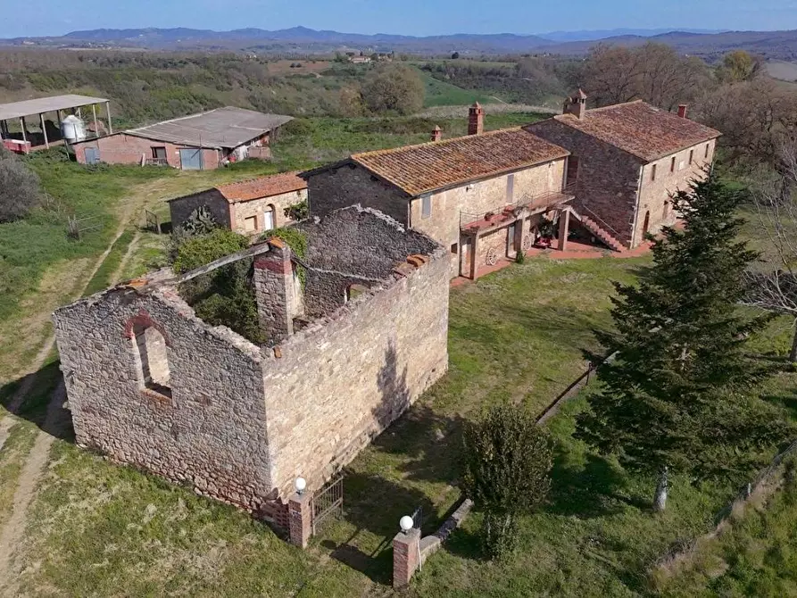Immagine 27 di Casa colonica in vendita  a Asciano