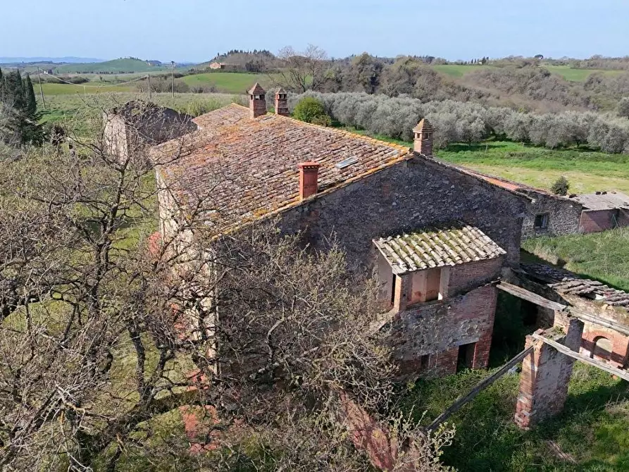 Immagine 18 di Casa colonica in vendita  a Asciano