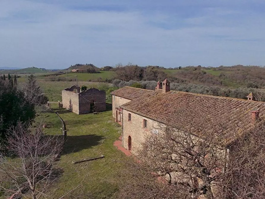 Immagine 2 di Casa colonica in vendita  a Asciano