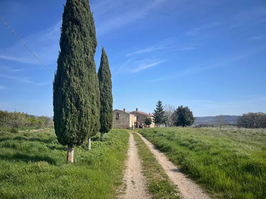 Immagine 3 di Casa colonica in vendita  a Asciano