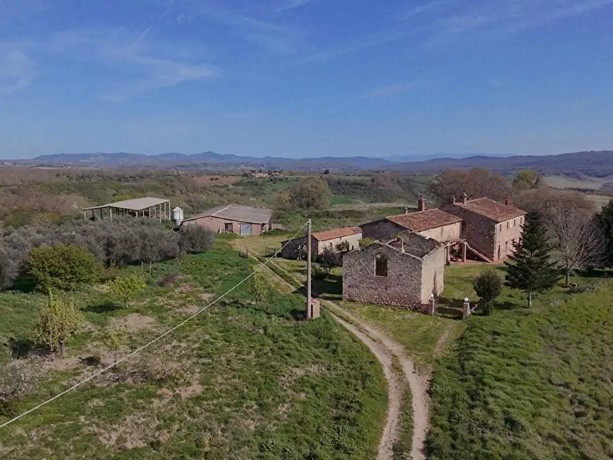 Immagine 17 di Casa colonica in vendita  a Asciano