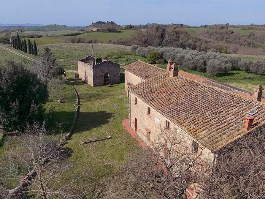 Immagine 4 di Casa colonica in vendita  a Asciano