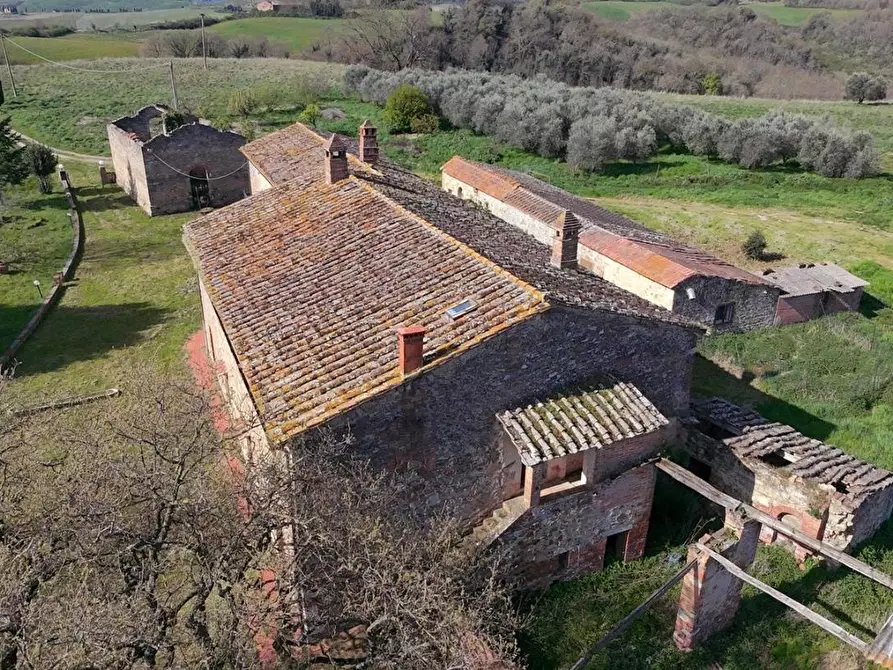 Immagine 15 di Casa colonica in vendita  a Asciano