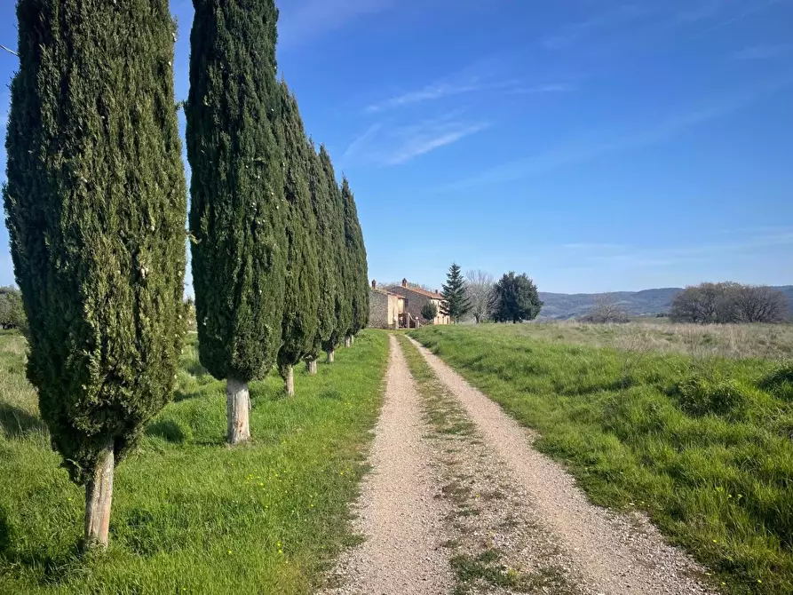 Immagine 13 di Casa colonica in vendita  a Asciano