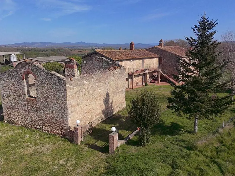 Immagine 23 di Casa colonica in vendita  a Asciano