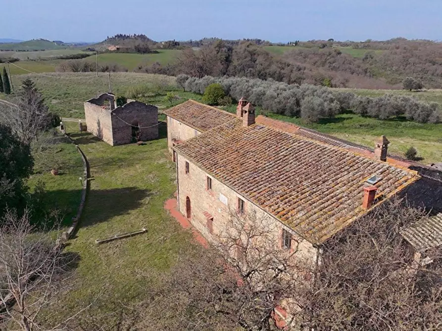 Immagine 11 di Casa colonica in vendita  a Asciano