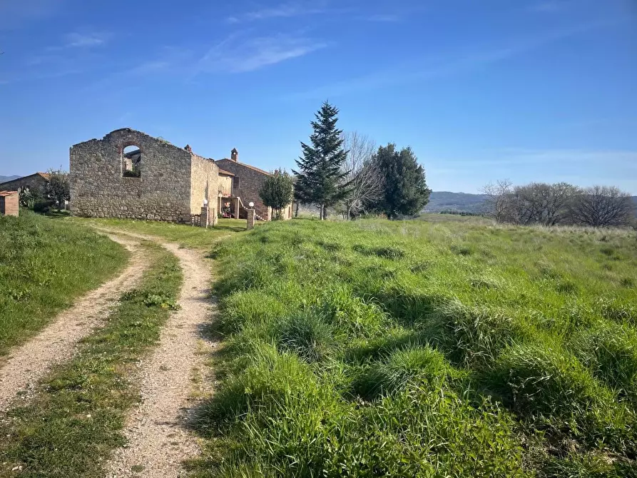 Immagine 10 di Casa colonica in vendita  a Asciano