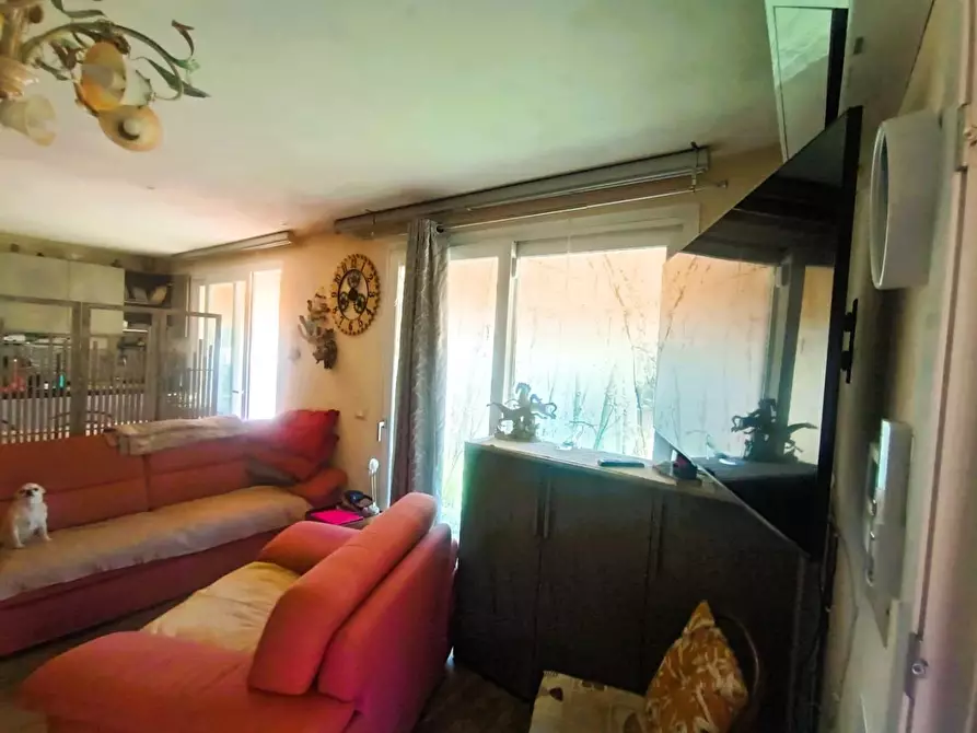 Immagine 6 di Villa in vendita  a Montignoso