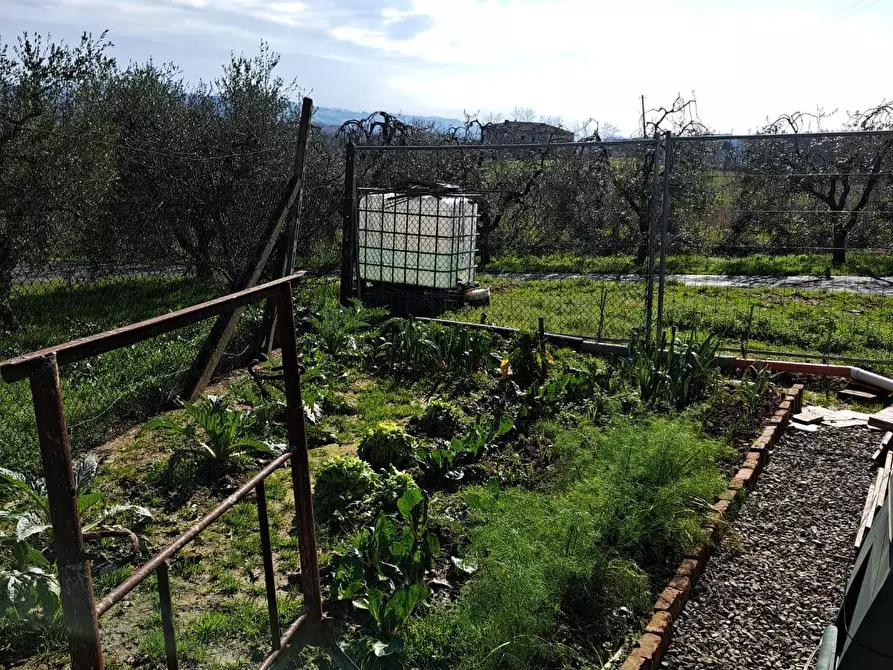 Immagine 16 di Casa indipendente in vendita  a Capannoli