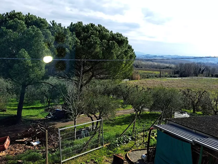 Immagine 6 di Casa indipendente in vendita  a Capannoli