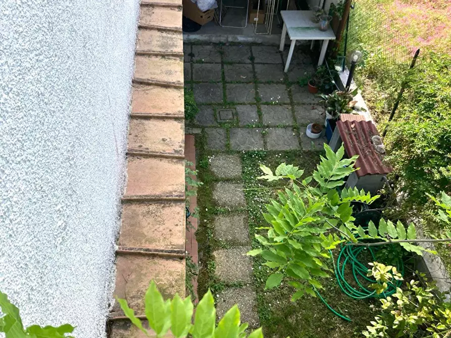 Immagine 31 di Casa bifamiliare in vendita  a Viareggio