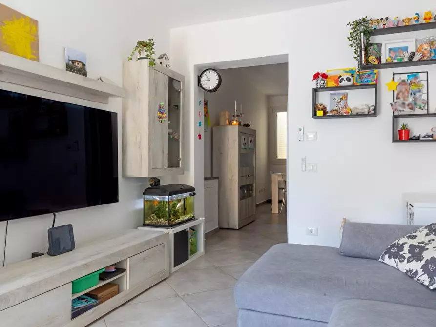 Immagine 4 di Terratetto in vendita  a Pisa