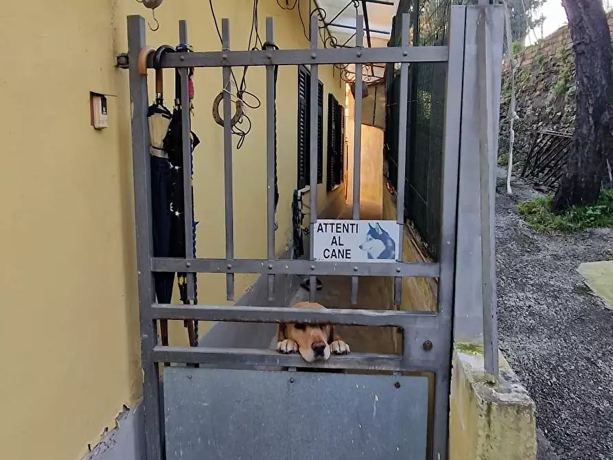 Immagine 8 di Appartamento in vendita  a Carrara