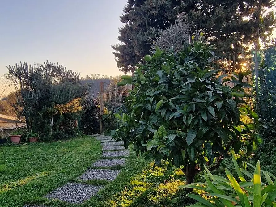 Immagine 1 di Appartamento in vendita  a Carrara