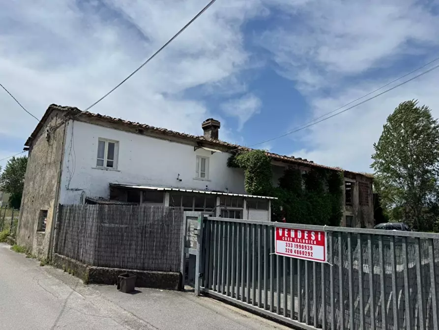 Immagine 6 di Casa colonica in vendita  a Pietrasanta
