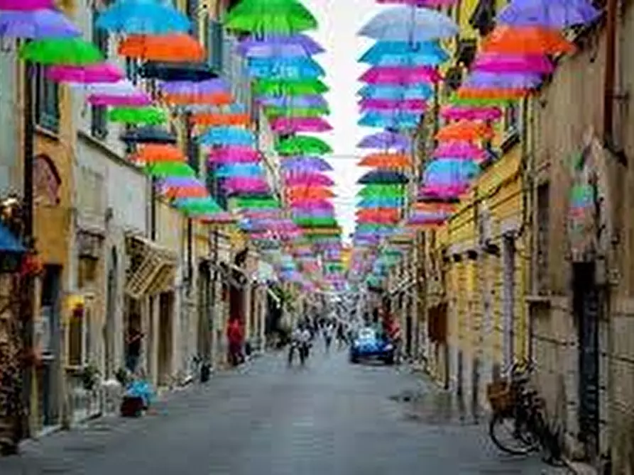 Immagine 13 di Casa colonica in vendita  a Pietrasanta