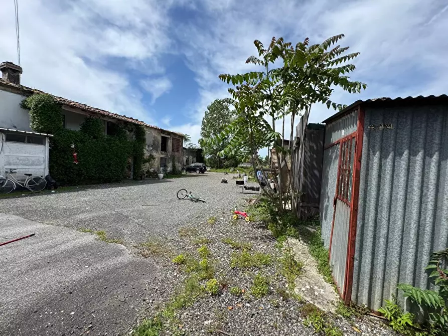 Immagine 4 di Casa colonica in vendita  a Pietrasanta