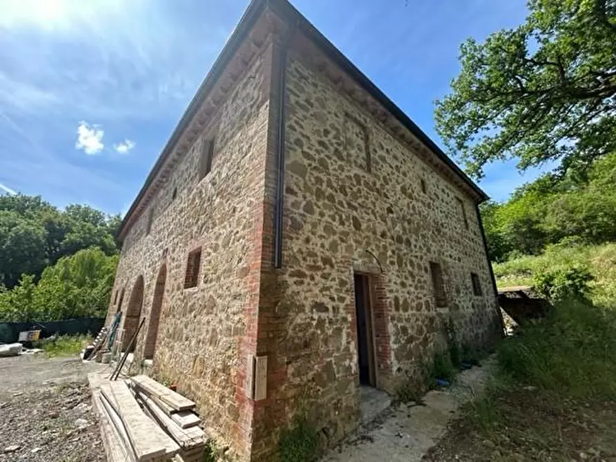 Immagine 2 di Casa colonica in vendita  a Castelnuovo Berardenga