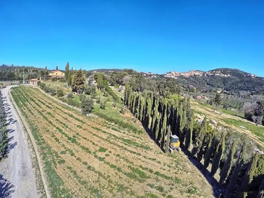 Immagine 4 di Villa in vendita  a Campiglia Marittima