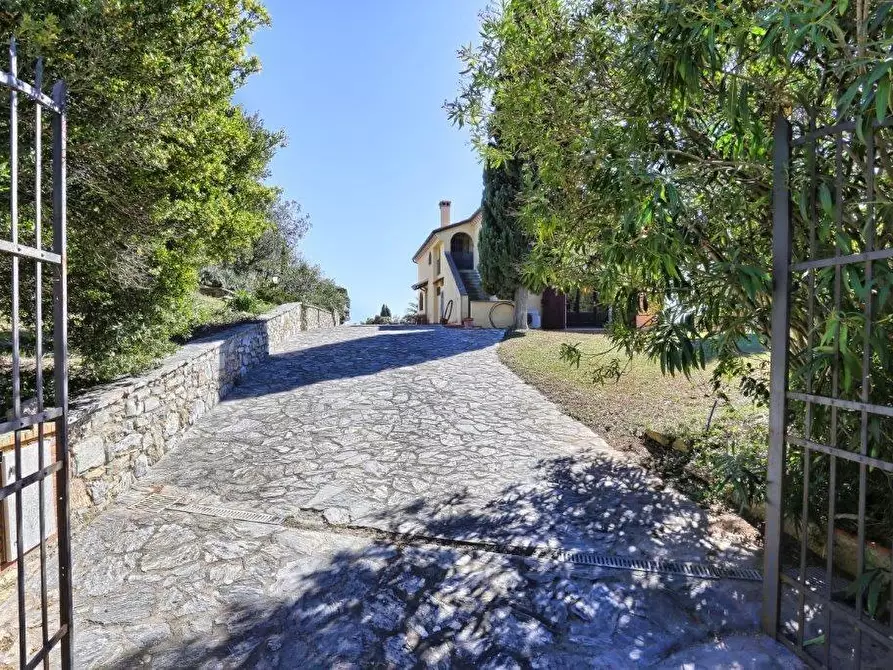 Immagine 11 di Villa in vendita  a Campiglia Marittima