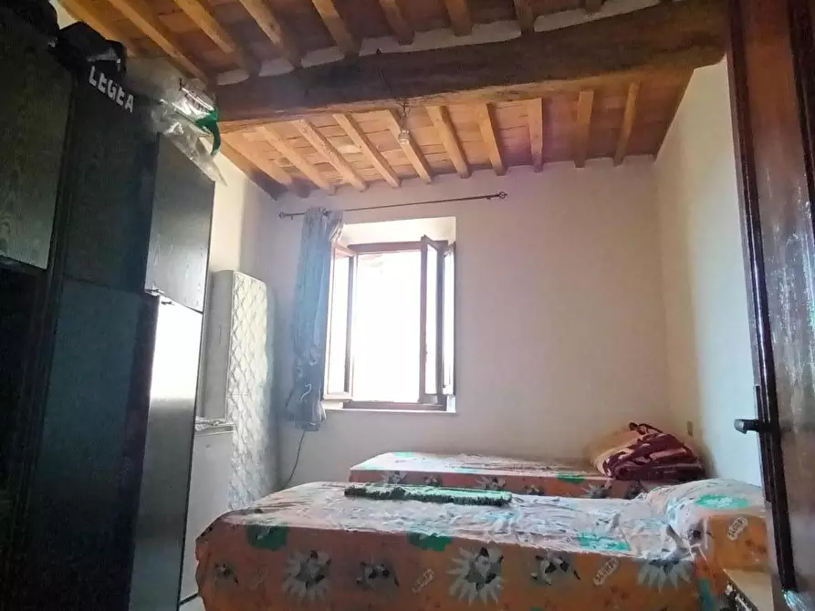 Immagine 6 di Terratetto in vendita  a Capannori