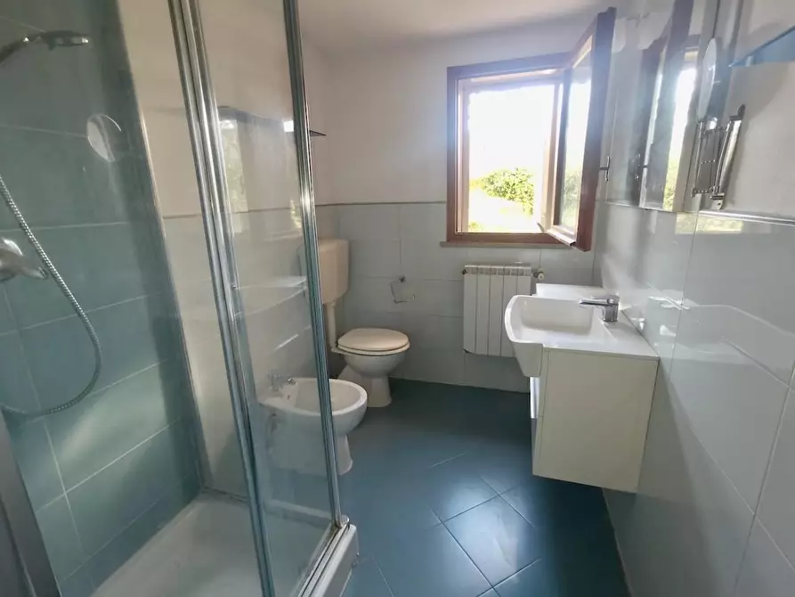 Immagine 15 di Ufficio in vendita  a Pisa