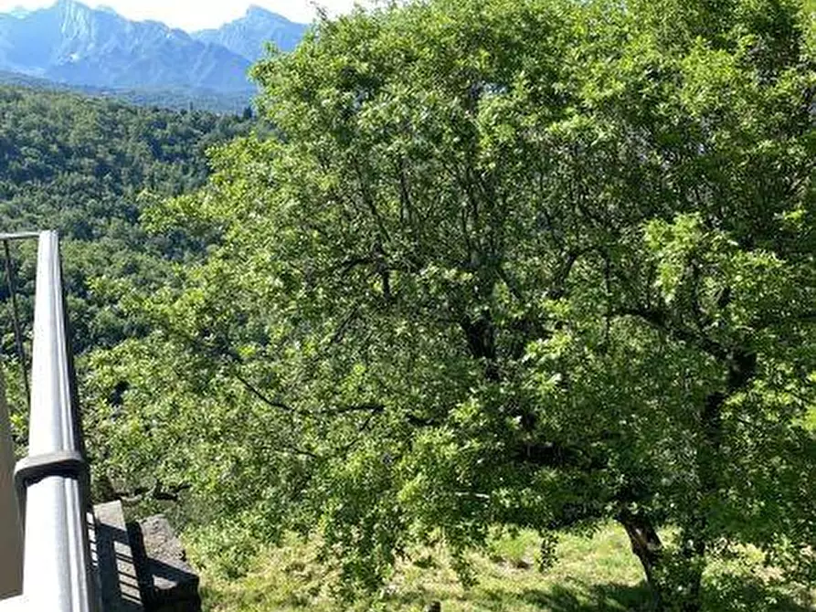 Immagine 7 di Casa indipendente in vendita  a Fivizzano