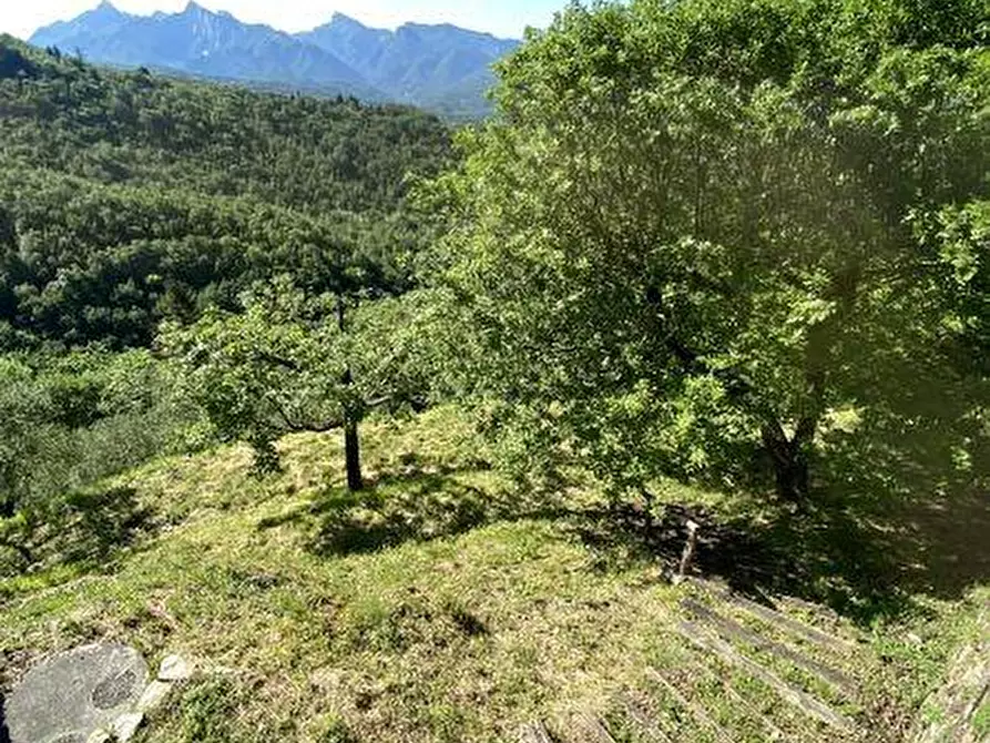 Immagine 9 di Casa indipendente in vendita  a Fivizzano