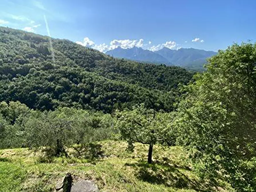Immagine 8 di Casa indipendente in vendita  a Fivizzano