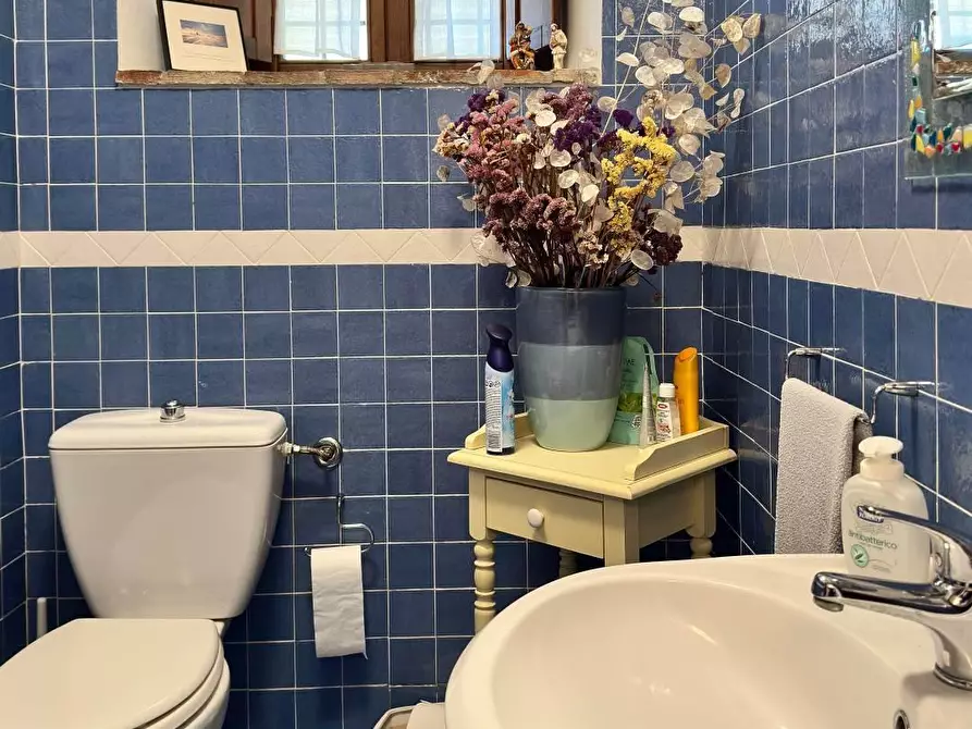 Immagine 16 di Casa indipendente in vendita  a Fivizzano