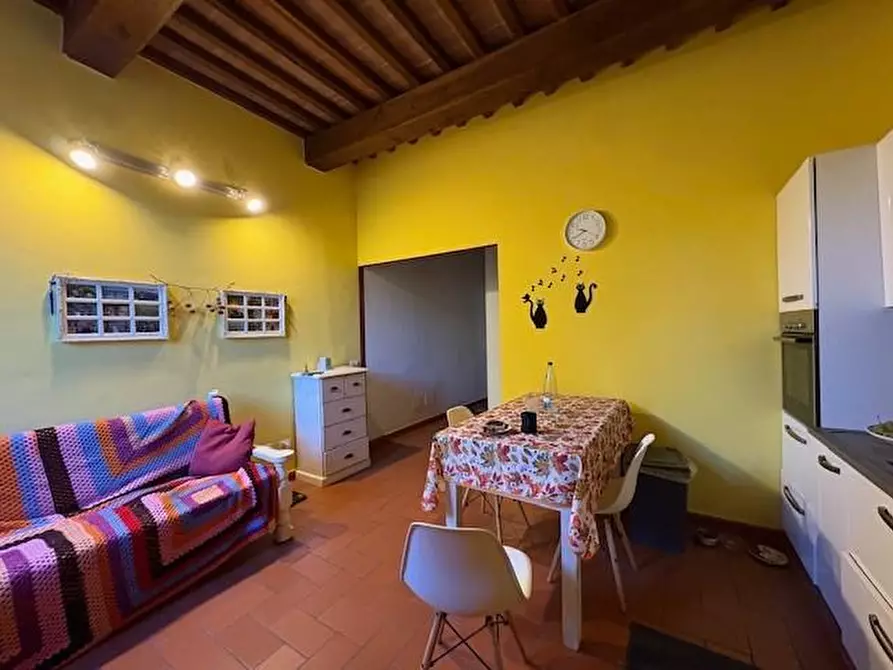 Immagine 8 di Terratetto in vendita  a Collesalvetti