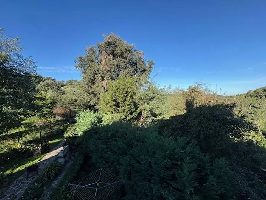 Immagine 28 di Terratetto in vendita  a Collesalvetti