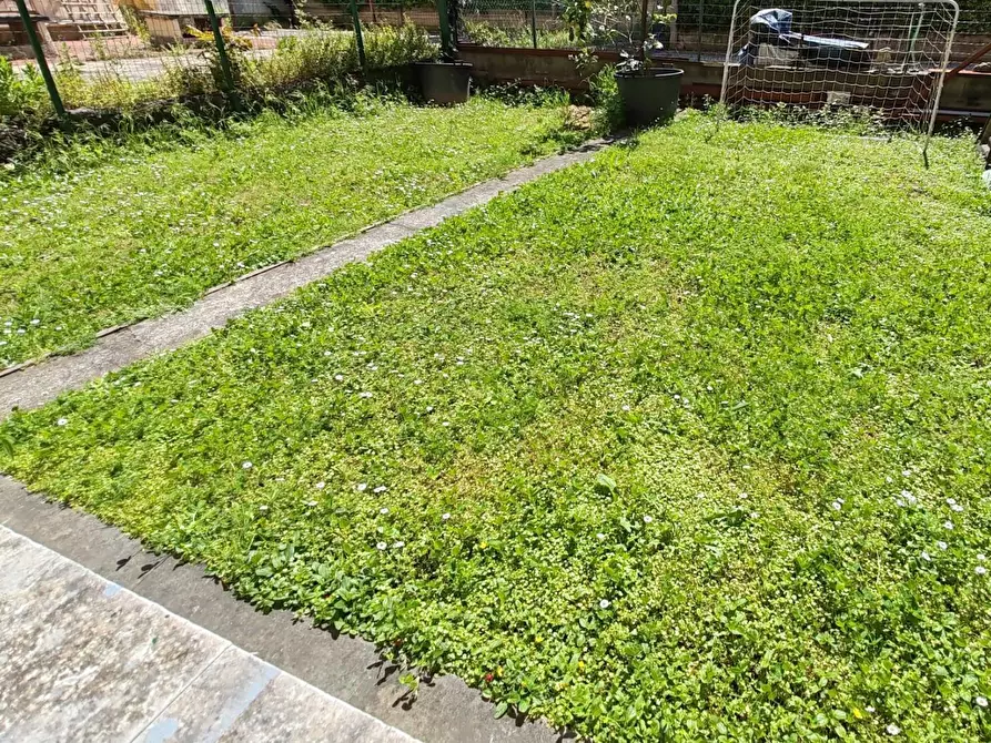 Immagine 2 di Ufficio in vendita  a Massa