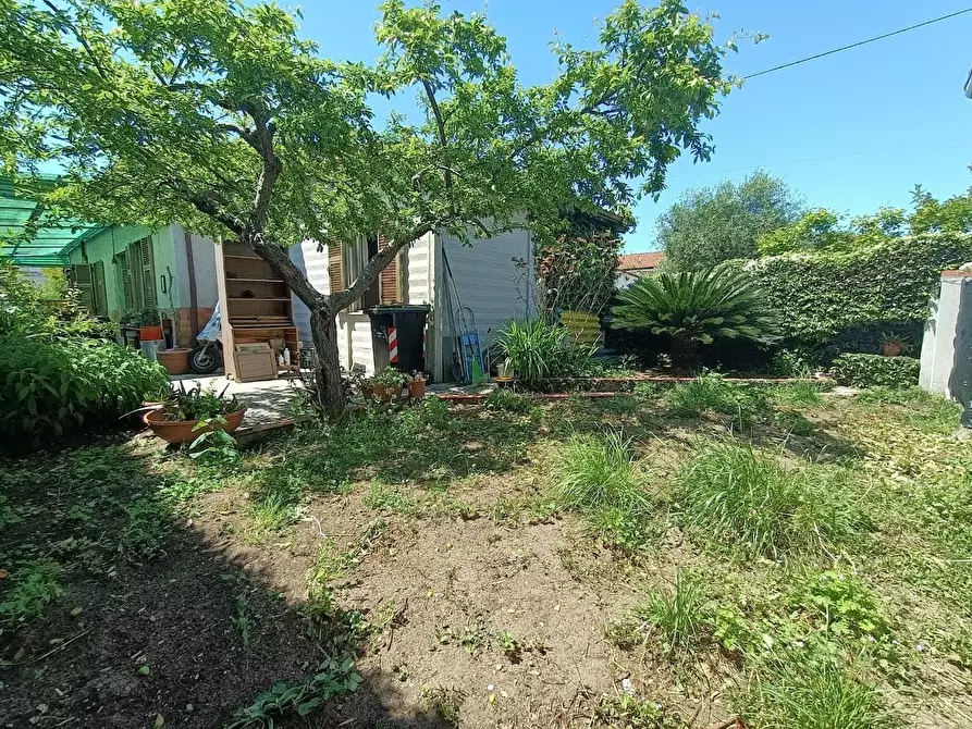 Immagine 26 di Casa indipendente in vendita  a Carrara