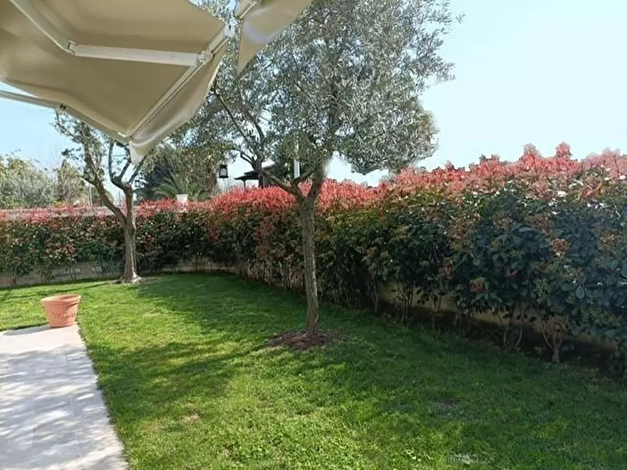 Immagine 17 di Villa in vendita  a Massa