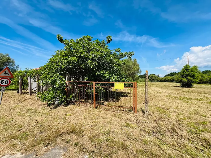 Immagine 12 di Casa semindipendente in vendita  a Castagneto Carducci